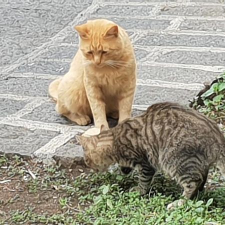Alle Pendici Dell'Etna Ragalna Exterior foto