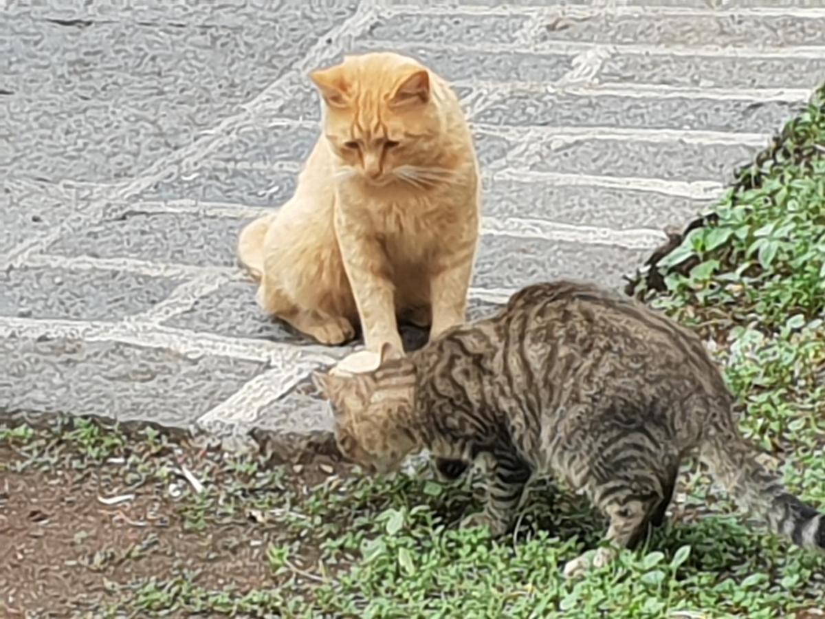 Alle Pendici Dell'Etna Ragalna Exterior foto